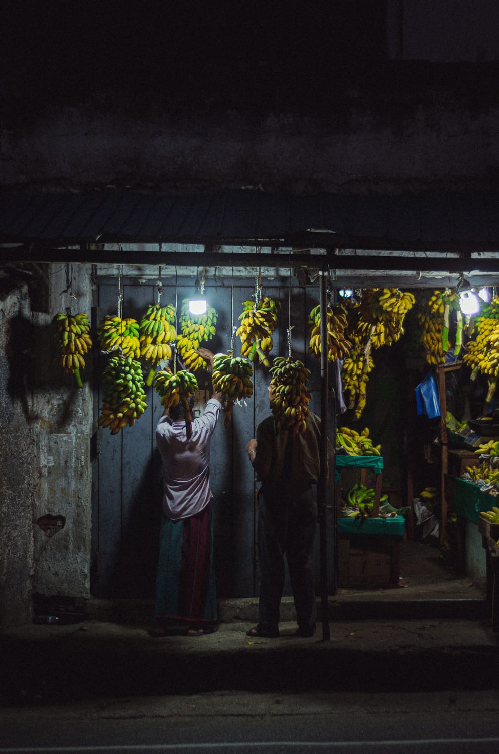 Фото 179 из альбома Sri Lanka 2019