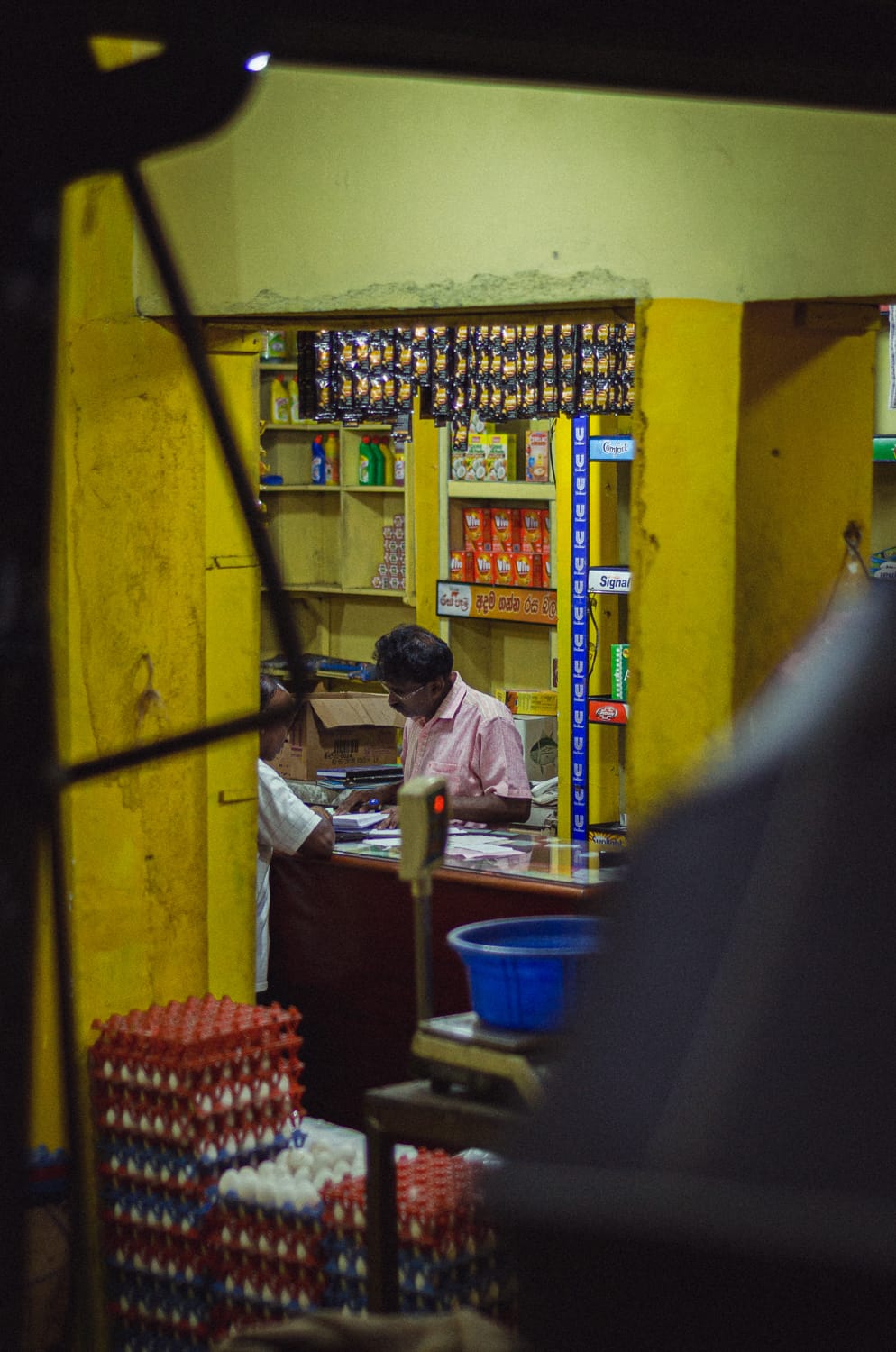 Фото 180 из альбома Sri Lanka 2019