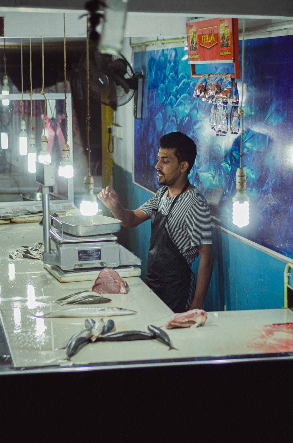 Фото 181 из альбома Sri Lanka 2019