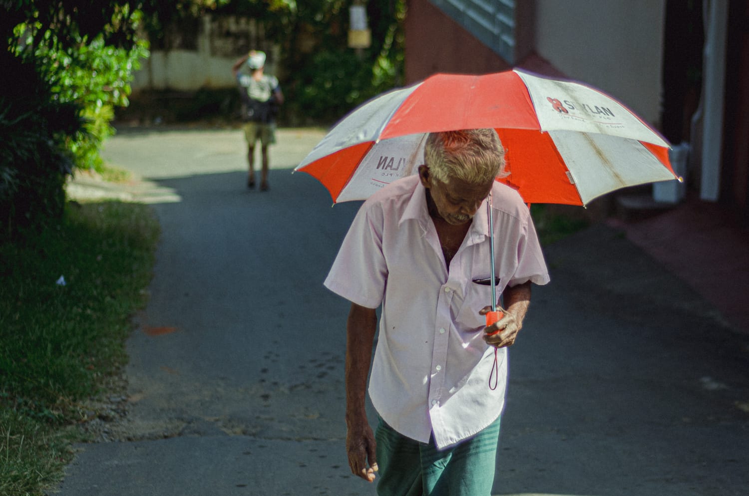 Фото 187 из альбома Sri Lanka 2019