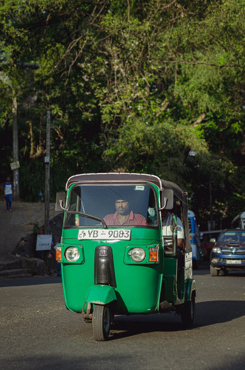 Фото 194 из альбома Sri Lanka 2019