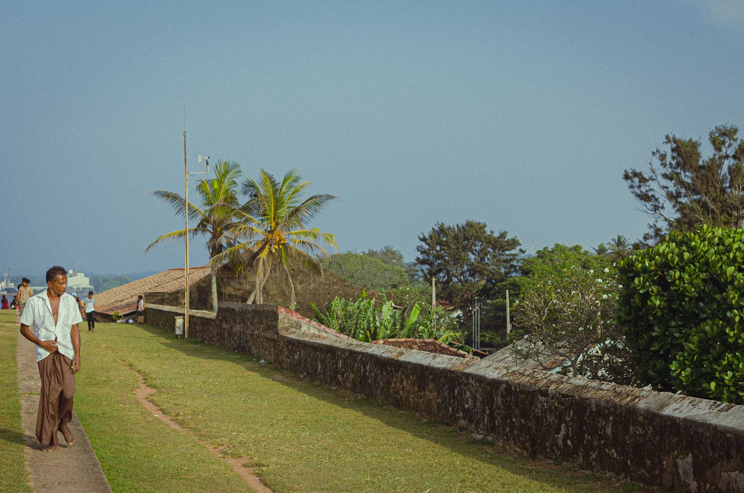 Фото 195 из альбома Sri Lanka 2019