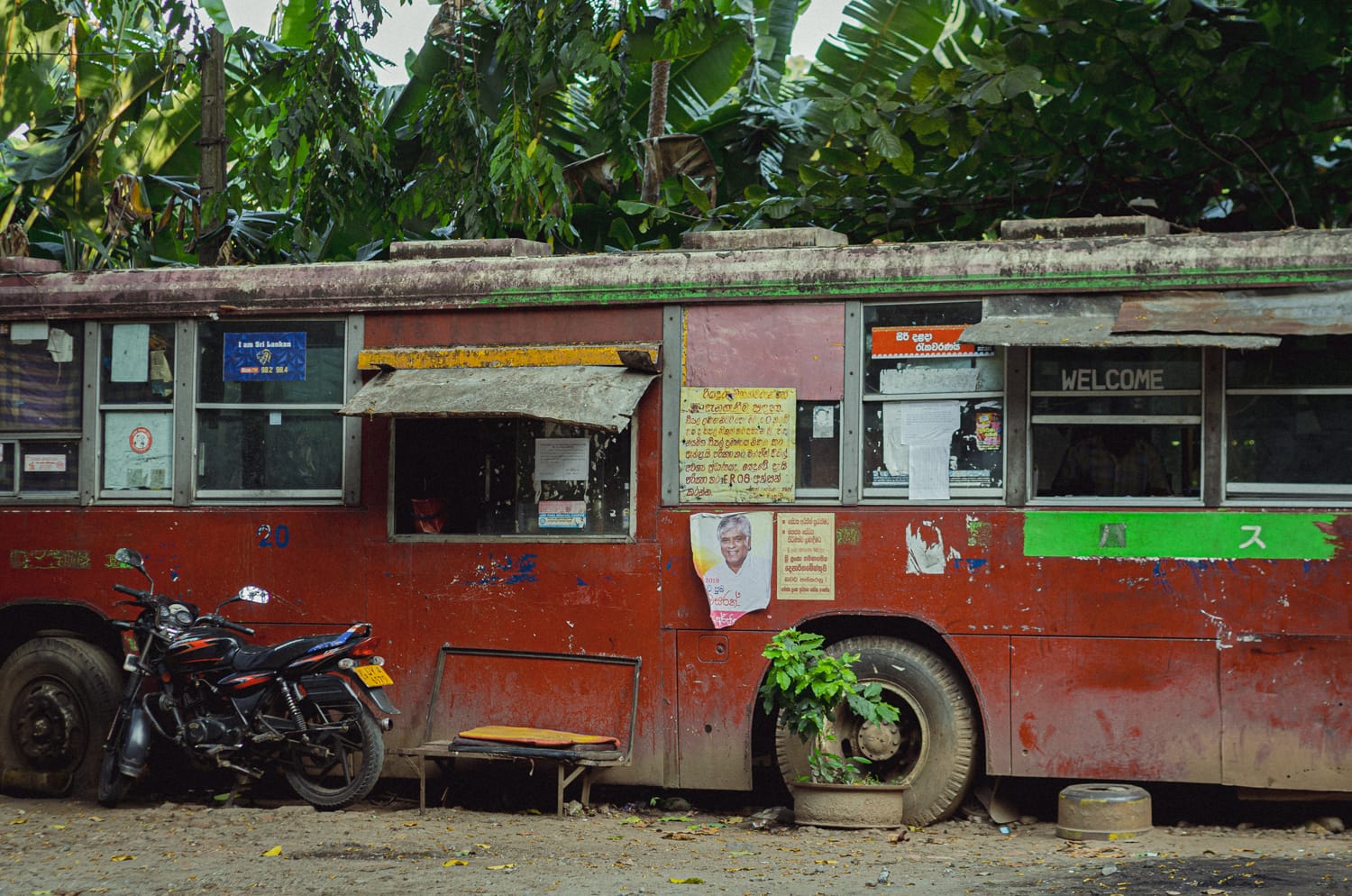 Фото 196 из альбома Sri Lanka 2019