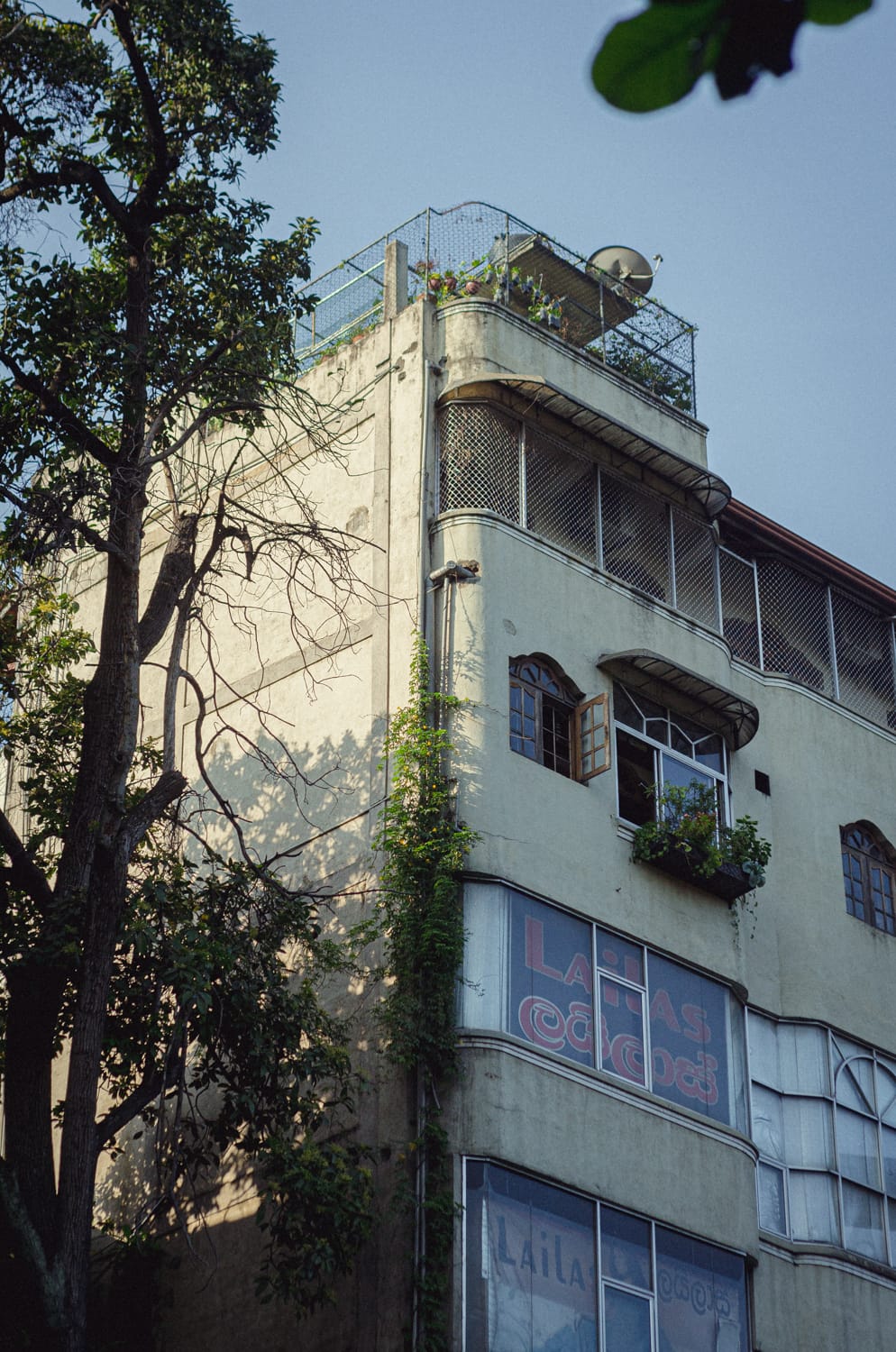 Фото 197 из альбома Sri Lanka 2019