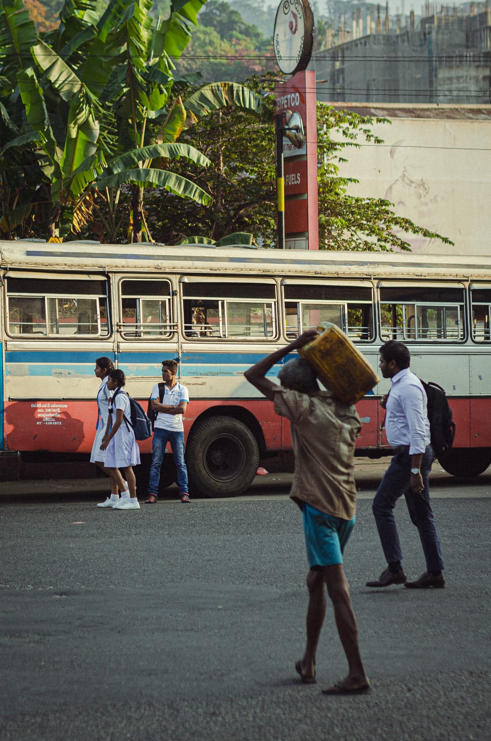 Фото 203 из альбома Sri Lanka 2019