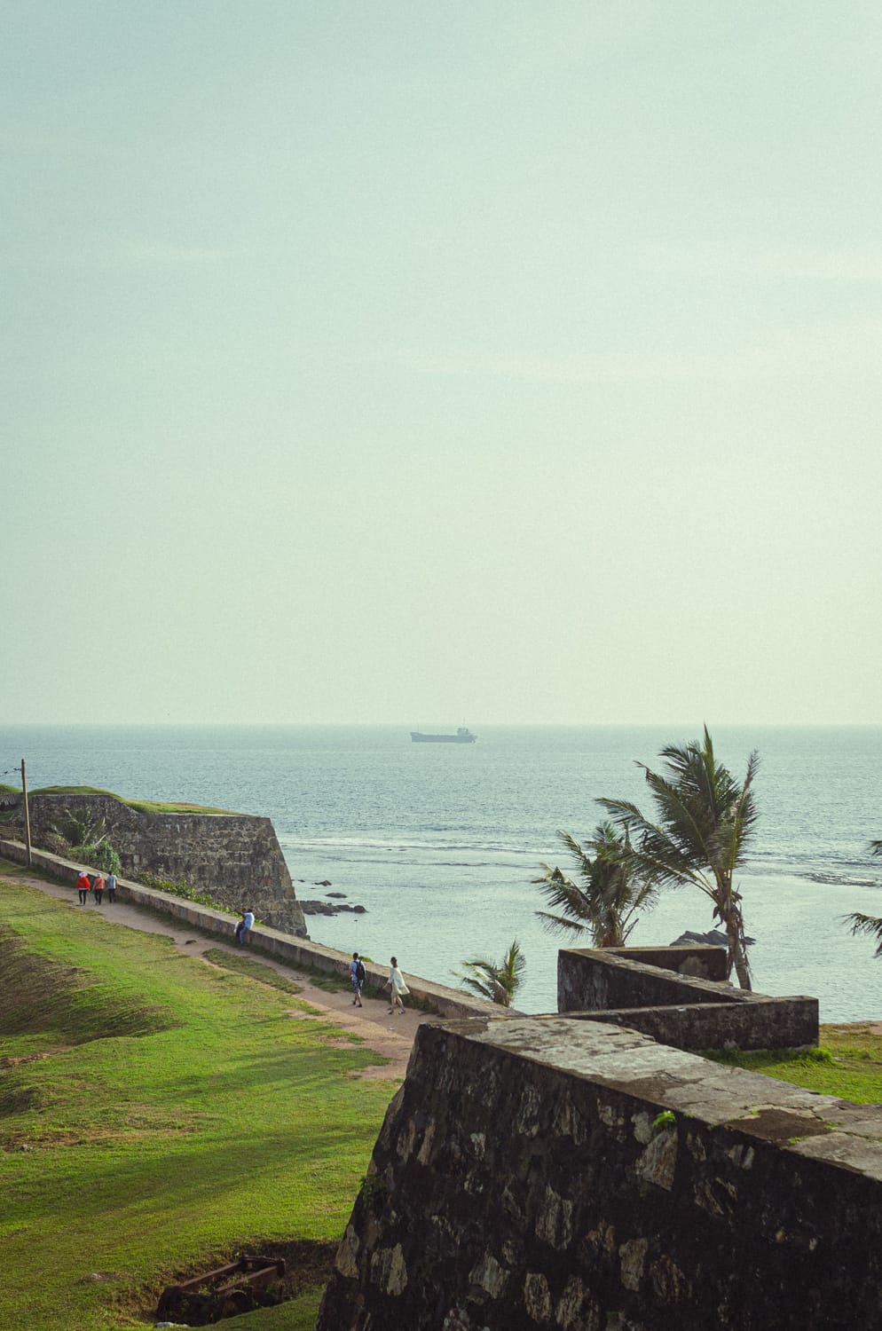 Фото 206 из альбома Sri Lanka 2019
