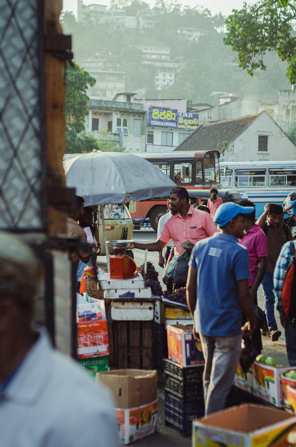 Фото 208 из альбома Sri Lanka 2019