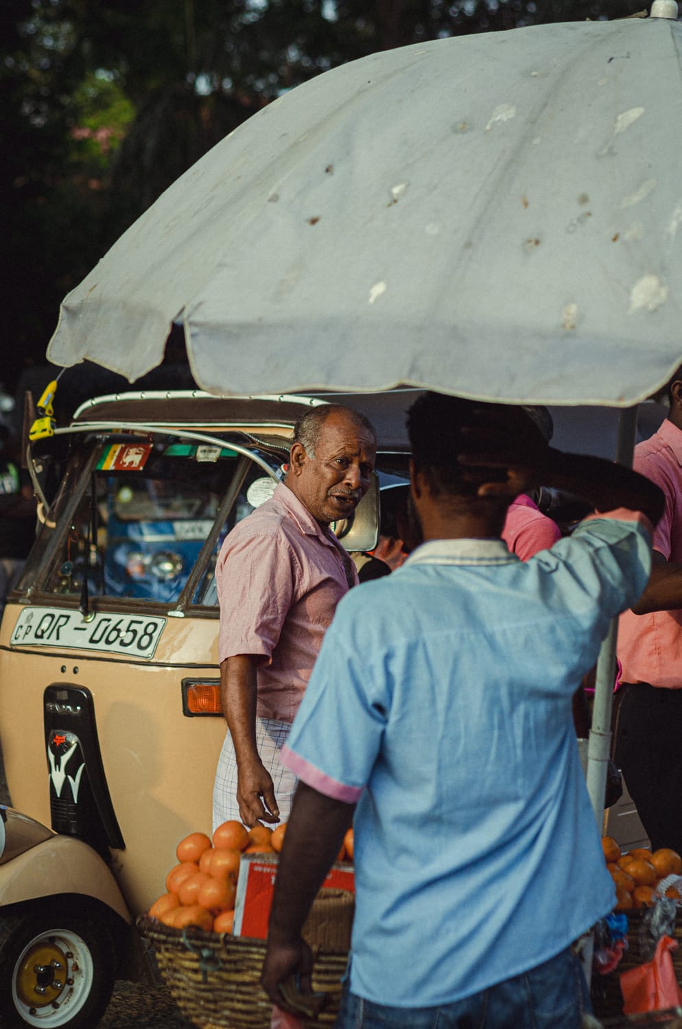 Фото 209 из альбома Sri Lanka 2019