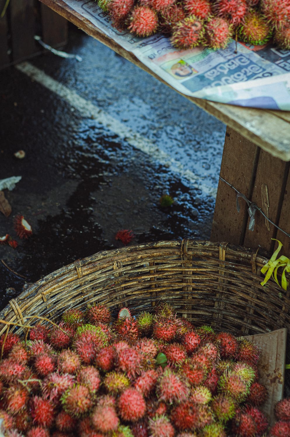 Фото 210 из альбома Sri Lanka 2019