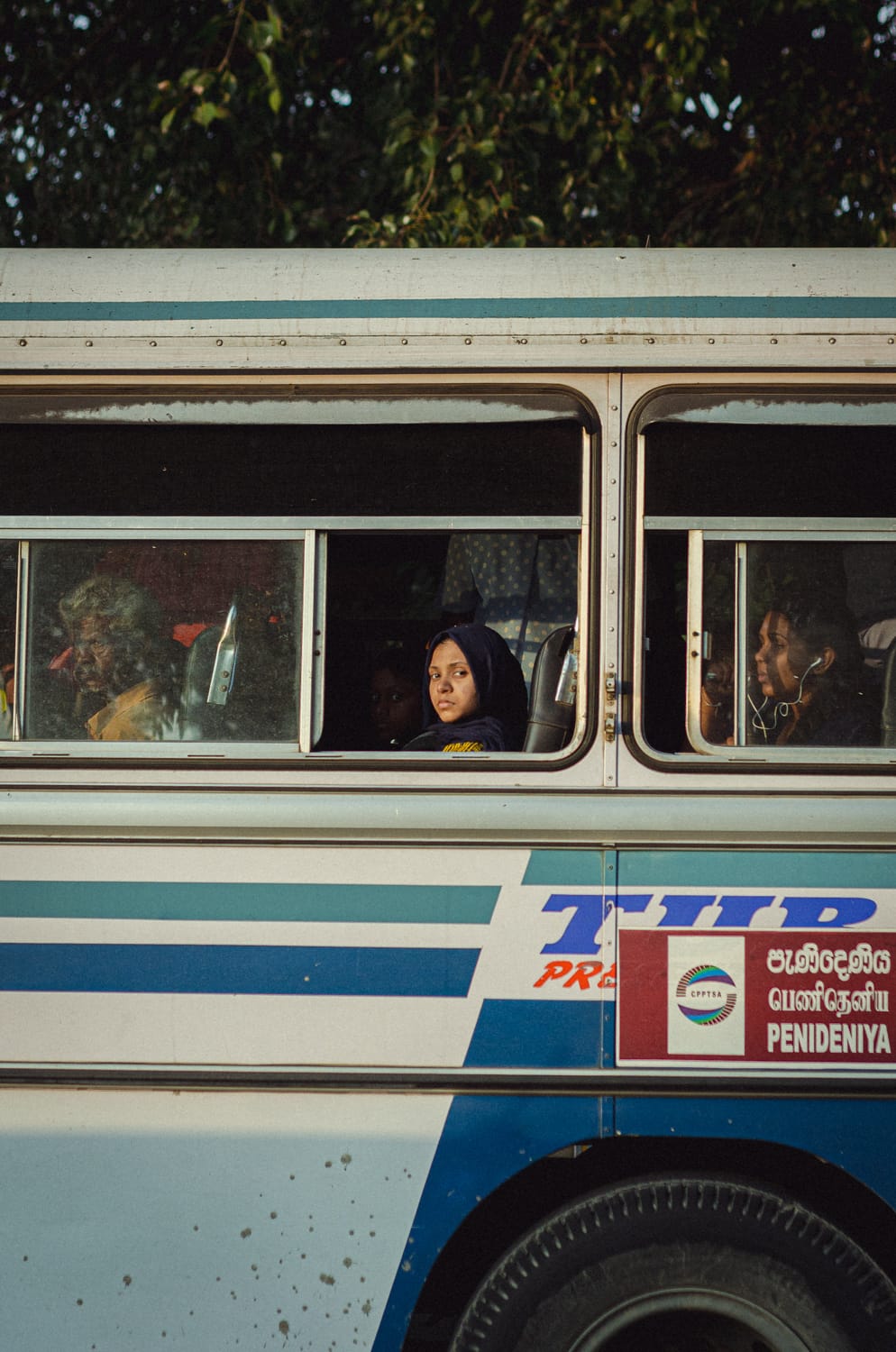 Фото 213 из альбома Sri Lanka 2019