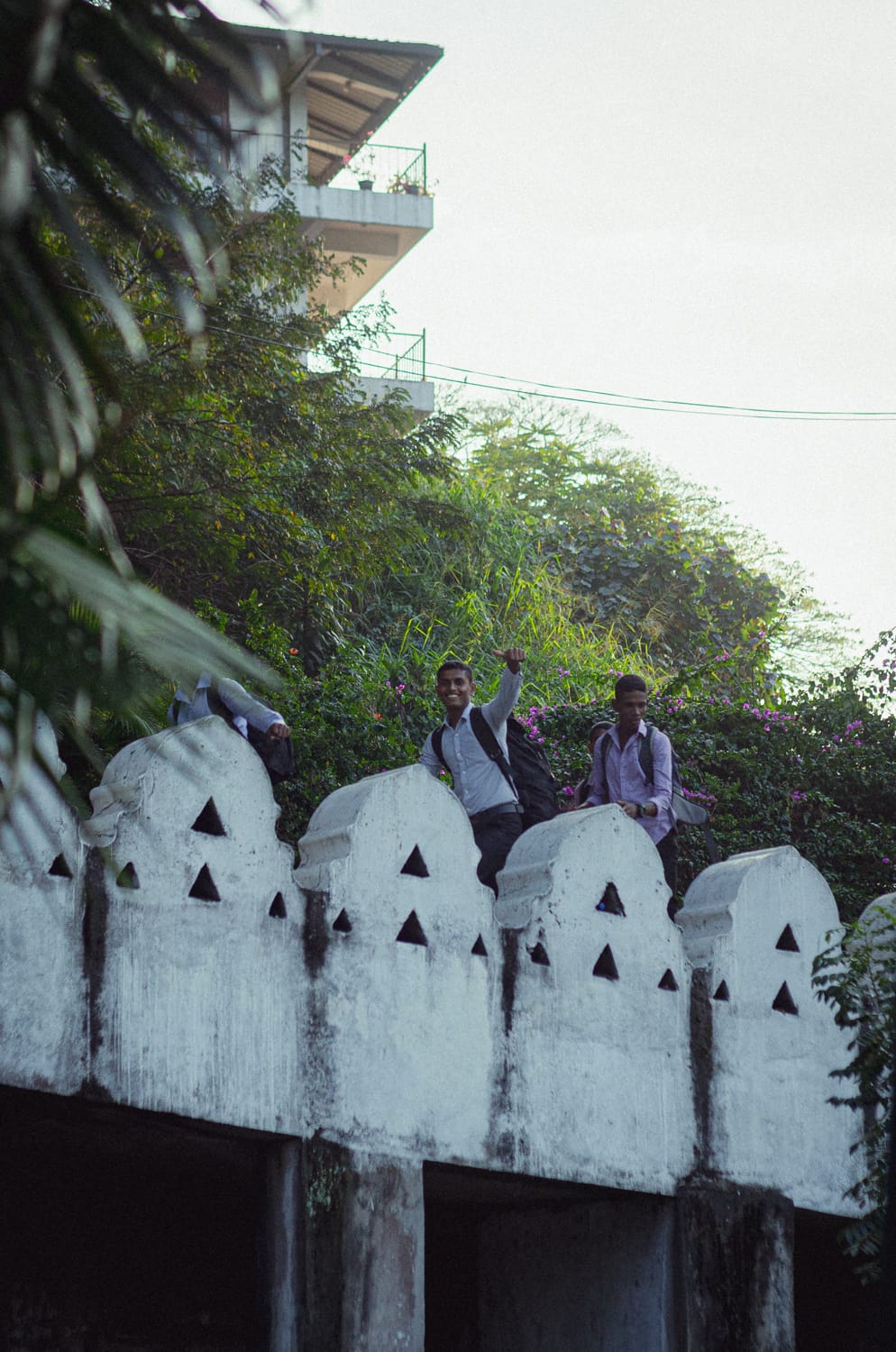 Фото 214 из альбома Sri Lanka 2019