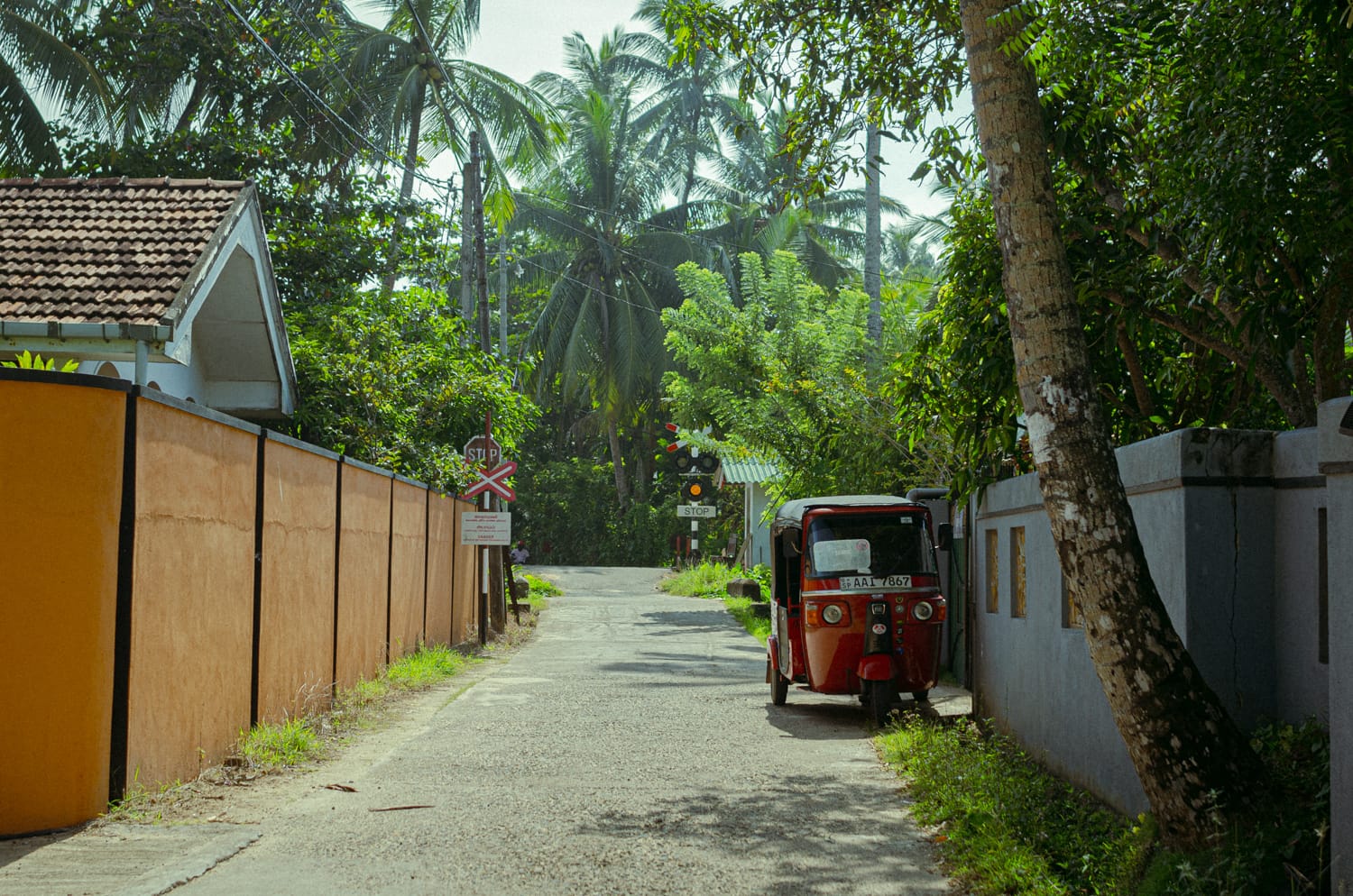 Фото 217 из альбома Sri Lanka 2019