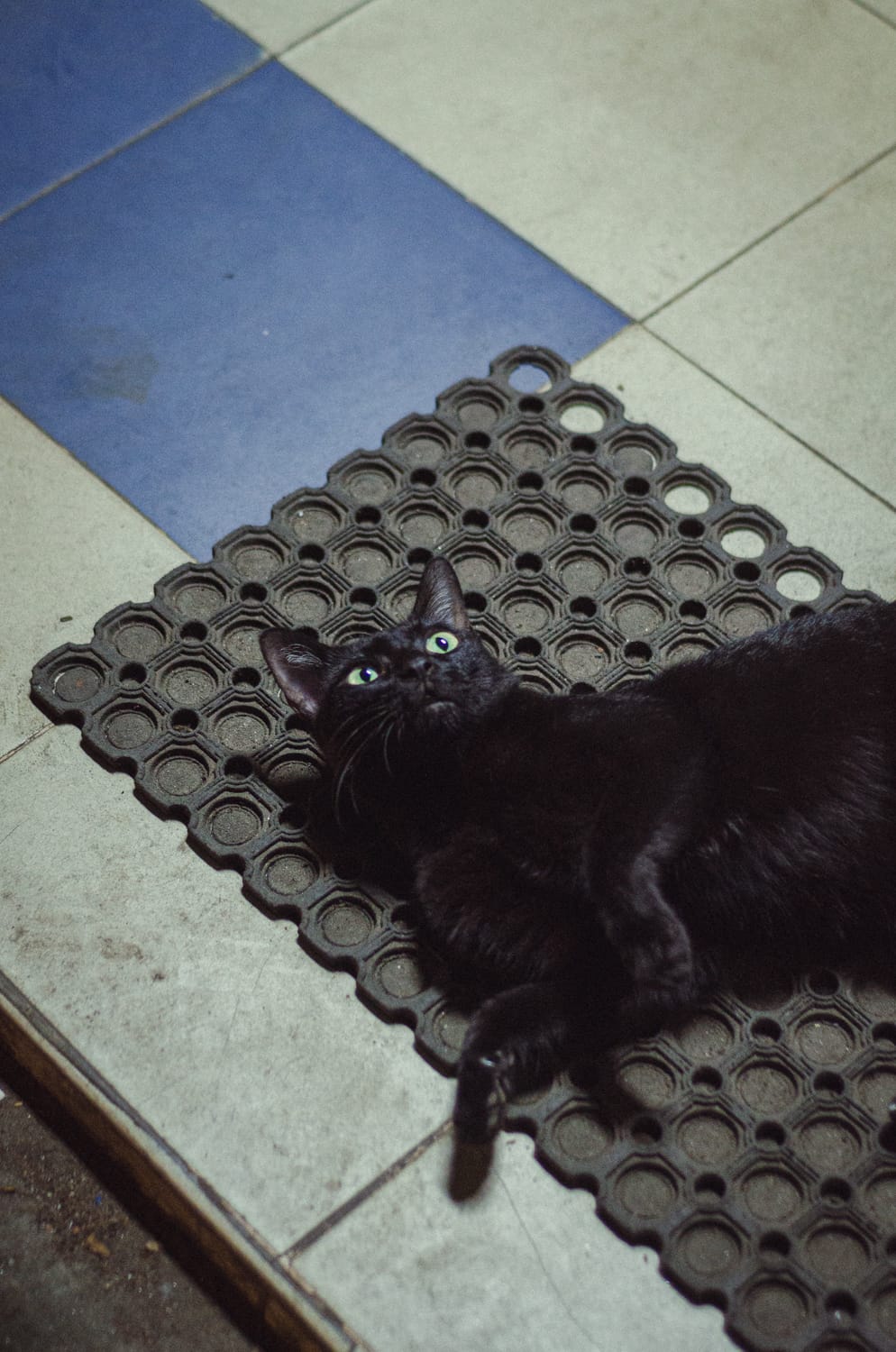 Фото 219 из альбома Sri Lanka 2019