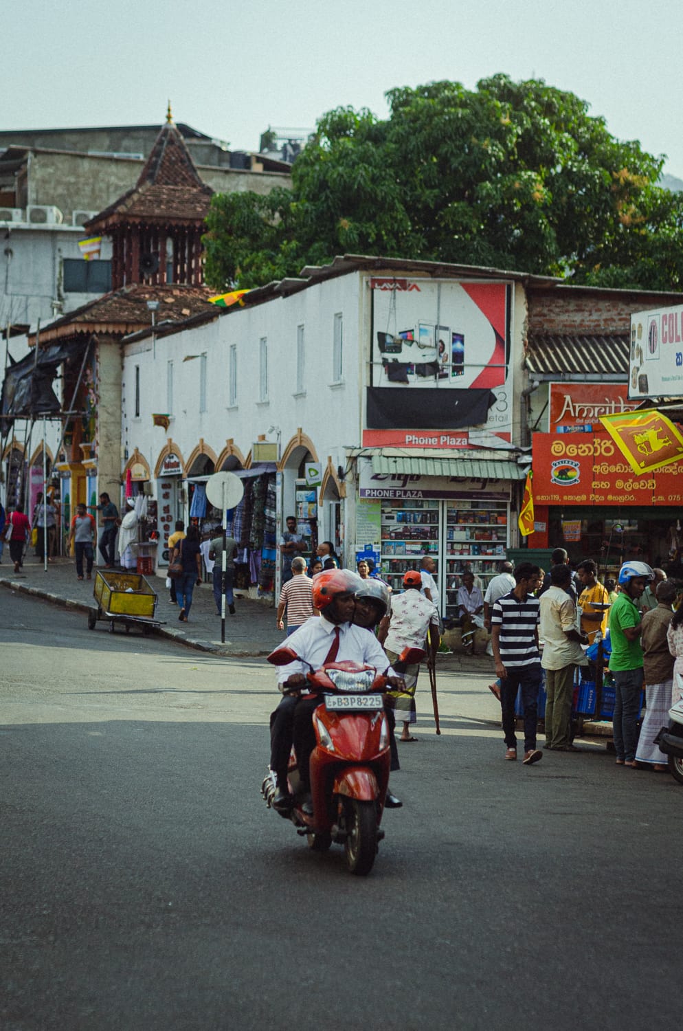 Фото 220 из альбома Sri Lanka 2019