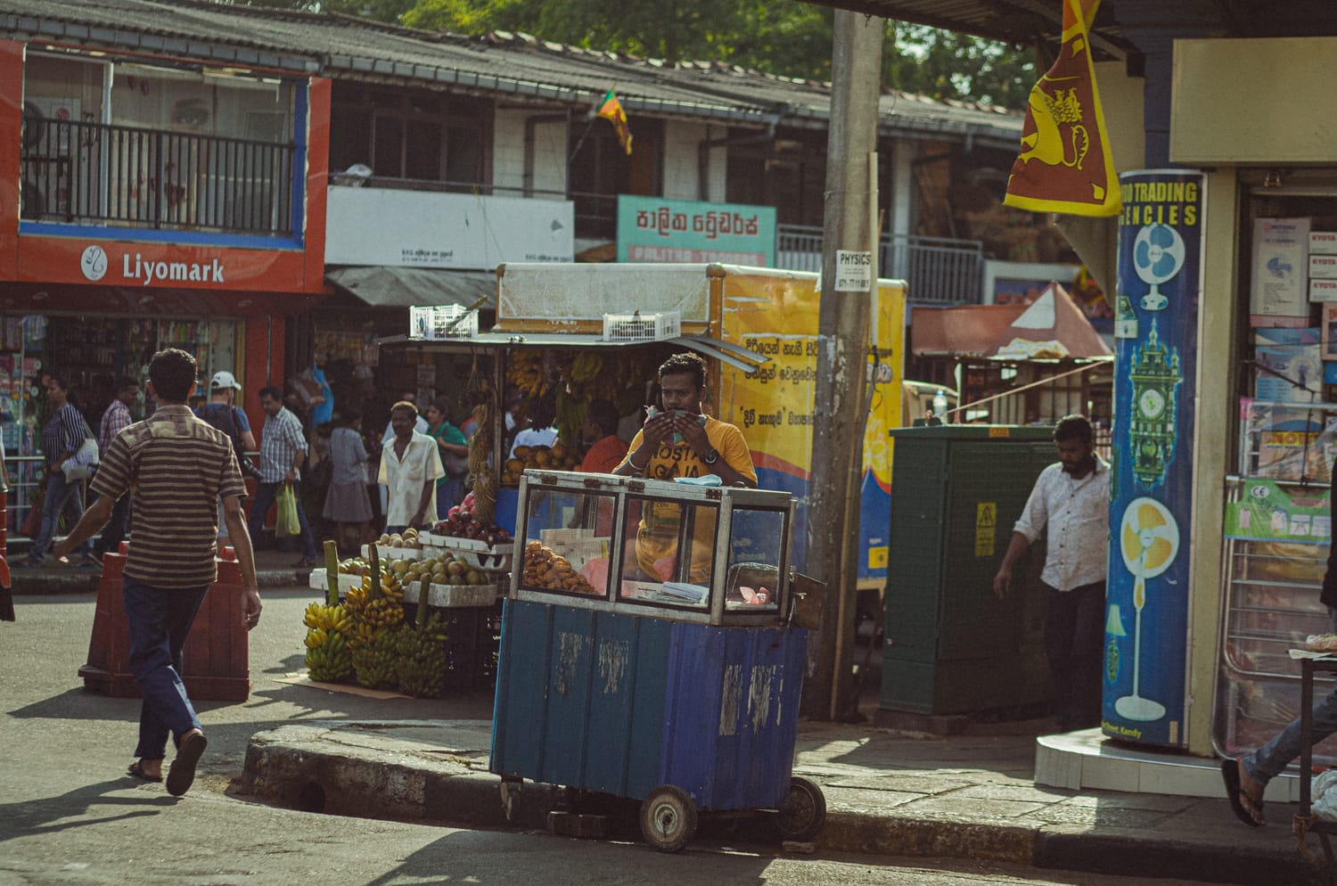 Фото 221 из альбома Sri Lanka 2019