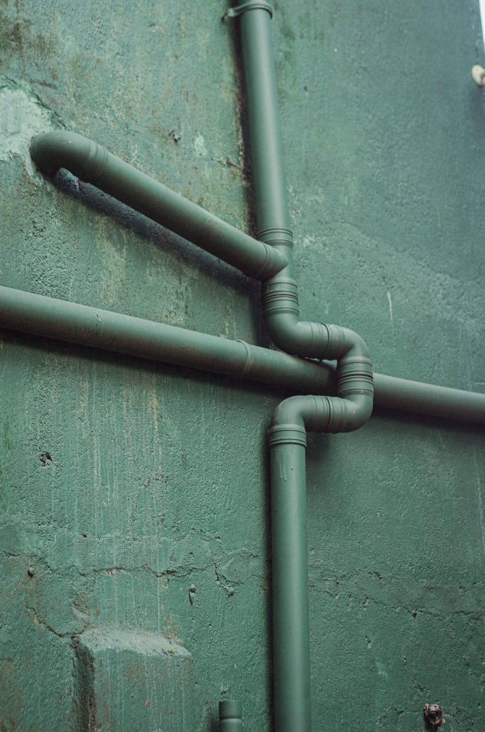 Фото 223 из альбома Sri Lanka 2019