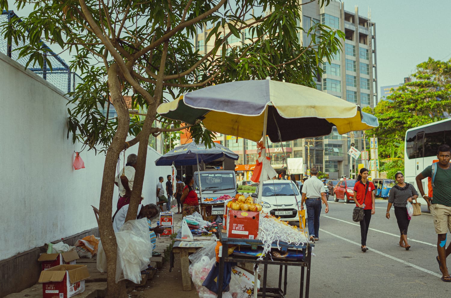 Фото 229 из альбома Sri Lanka 2019