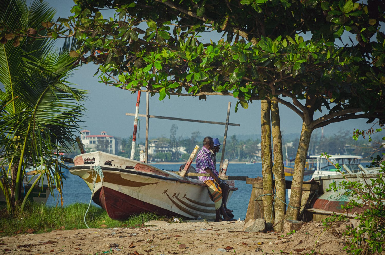 Фото 232 из альбома Sri Lanka 2019