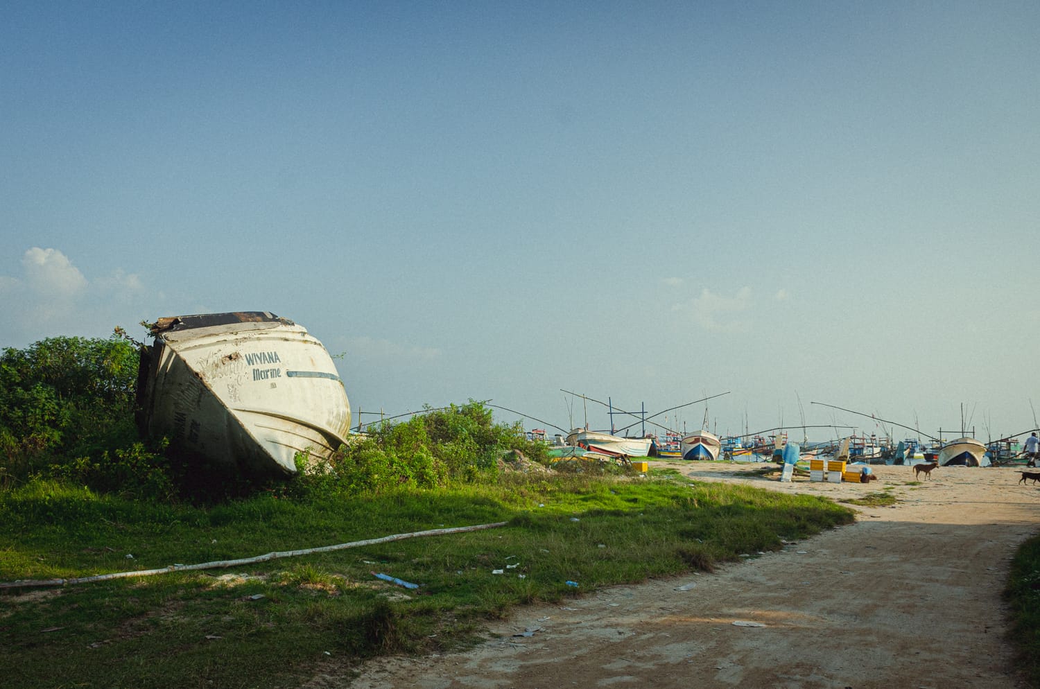 Фото 234 из альбома Sri Lanka 2019