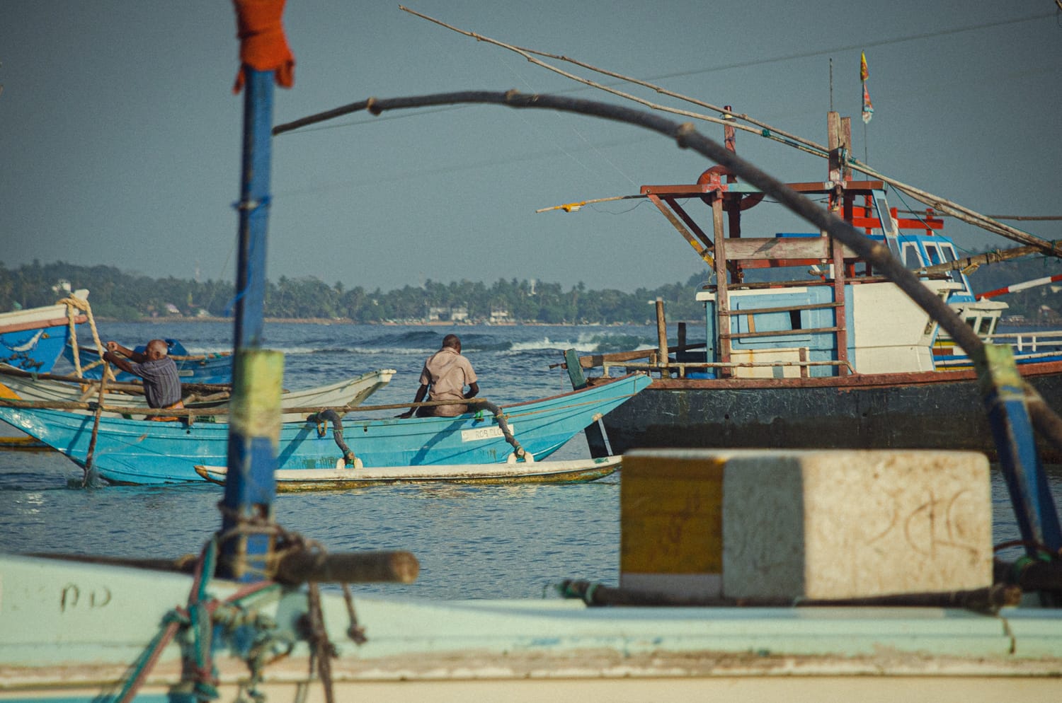Фото 236 из альбома Sri Lanka 2019