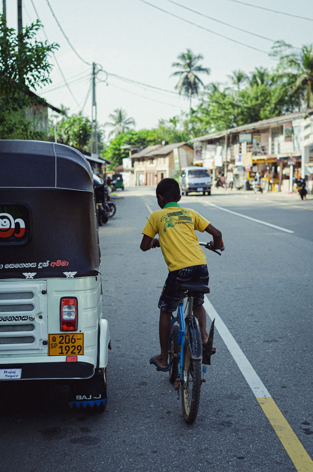 Фото 243 из альбома Sri Lanka 2019