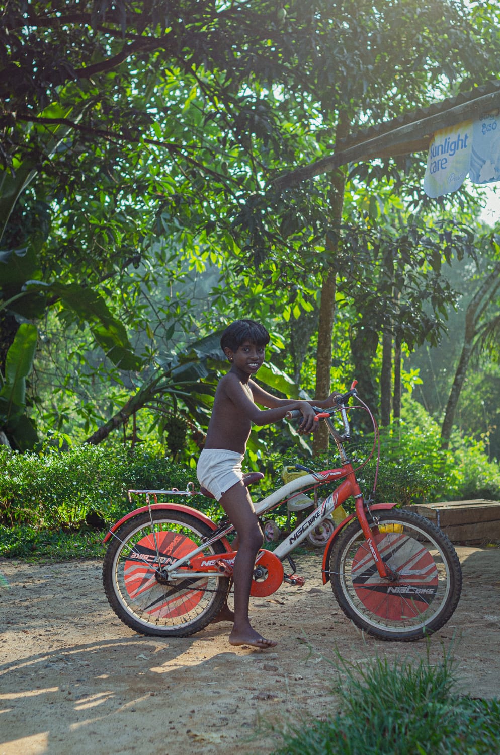 Фото 244 из альбома Sri Lanka 2019