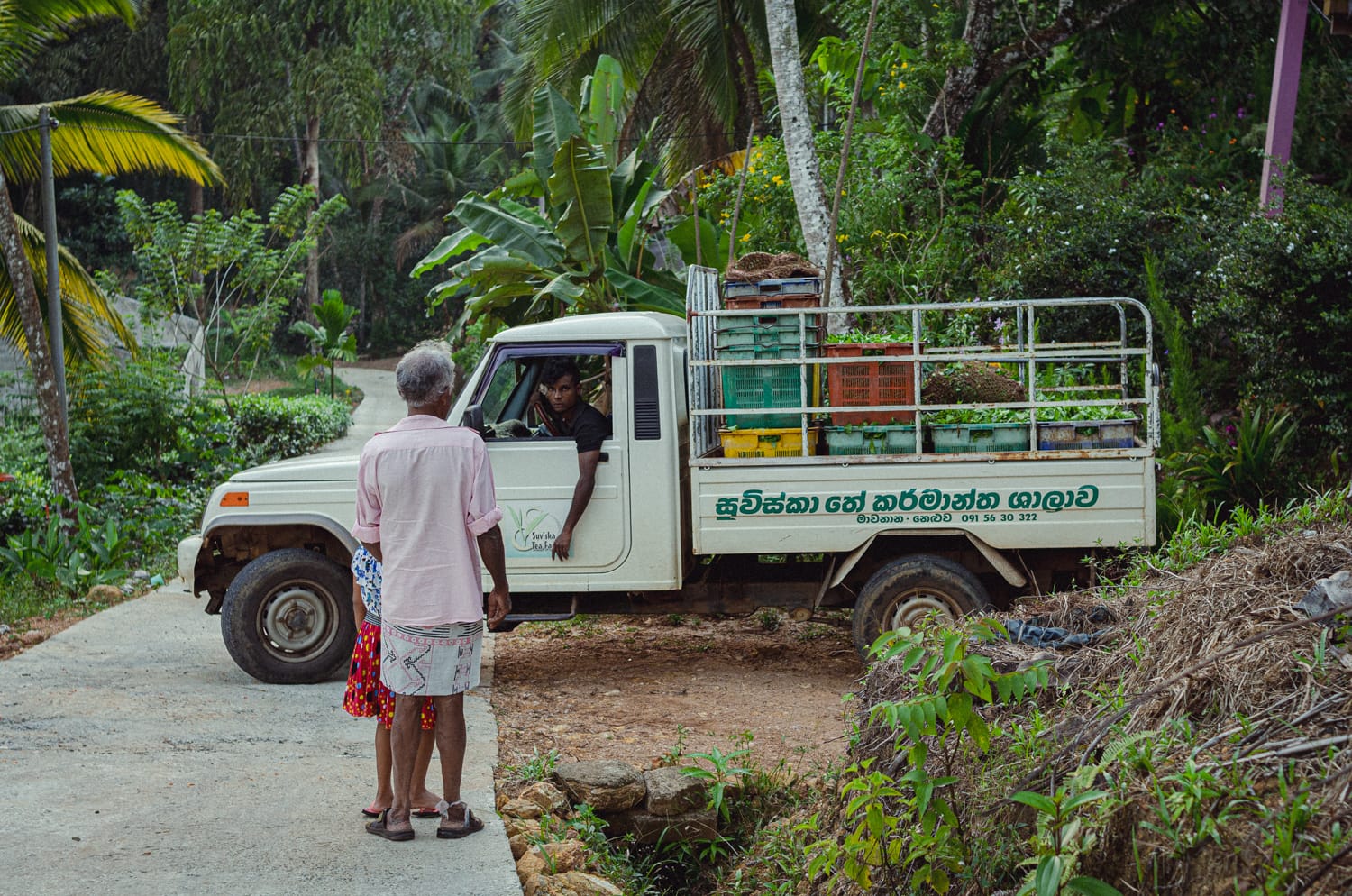 Превью Sri Lanka 2019