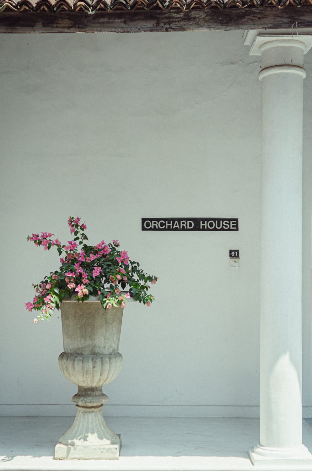 Фото 253 из альбома Sri Lanka 2019