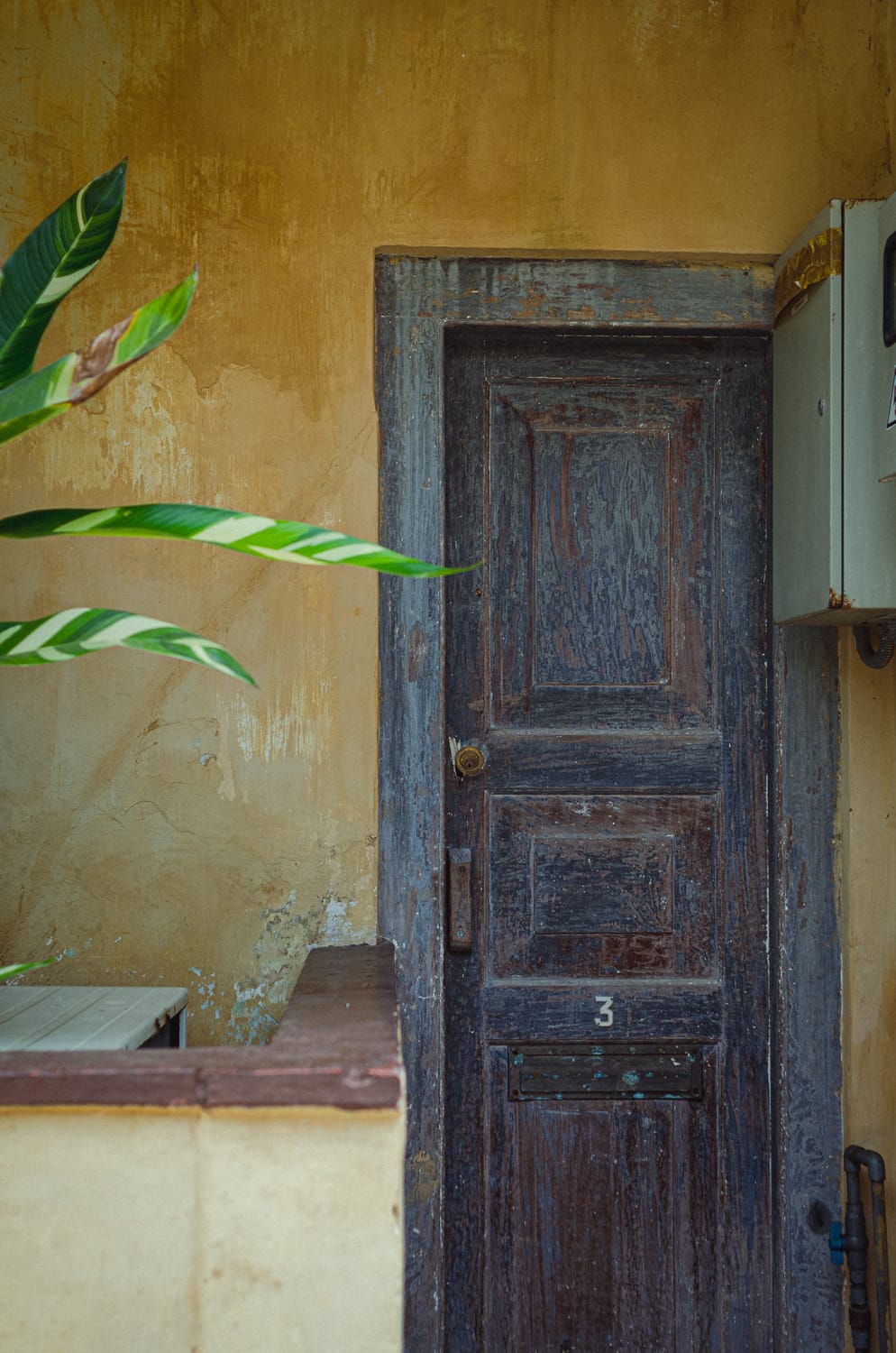 Фото 256 из альбома Sri Lanka 2019