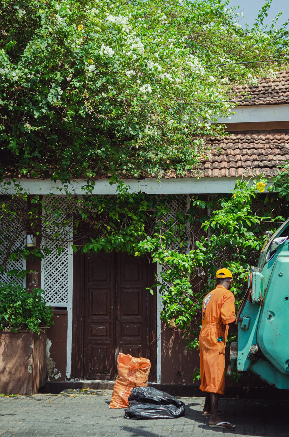 Фото 258 из альбома Sri Lanka 2019