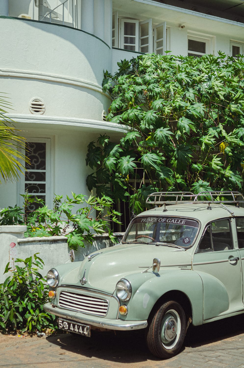 Фото 261 из альбома Sri Lanka 2019