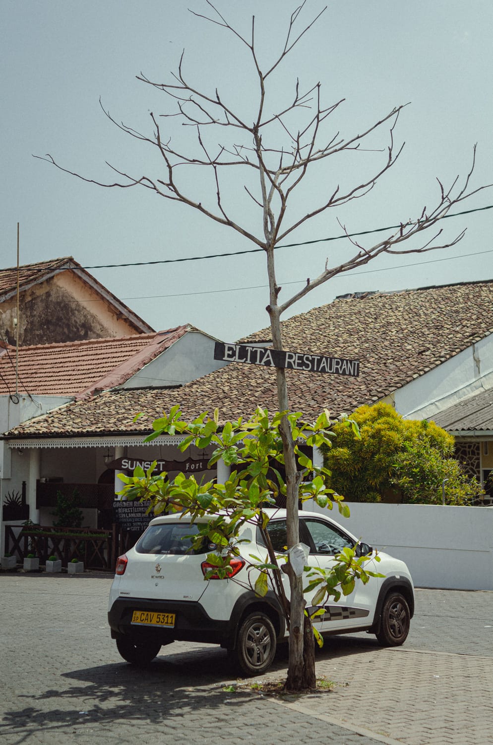 Фото 266 из альбома Sri Lanka 2019