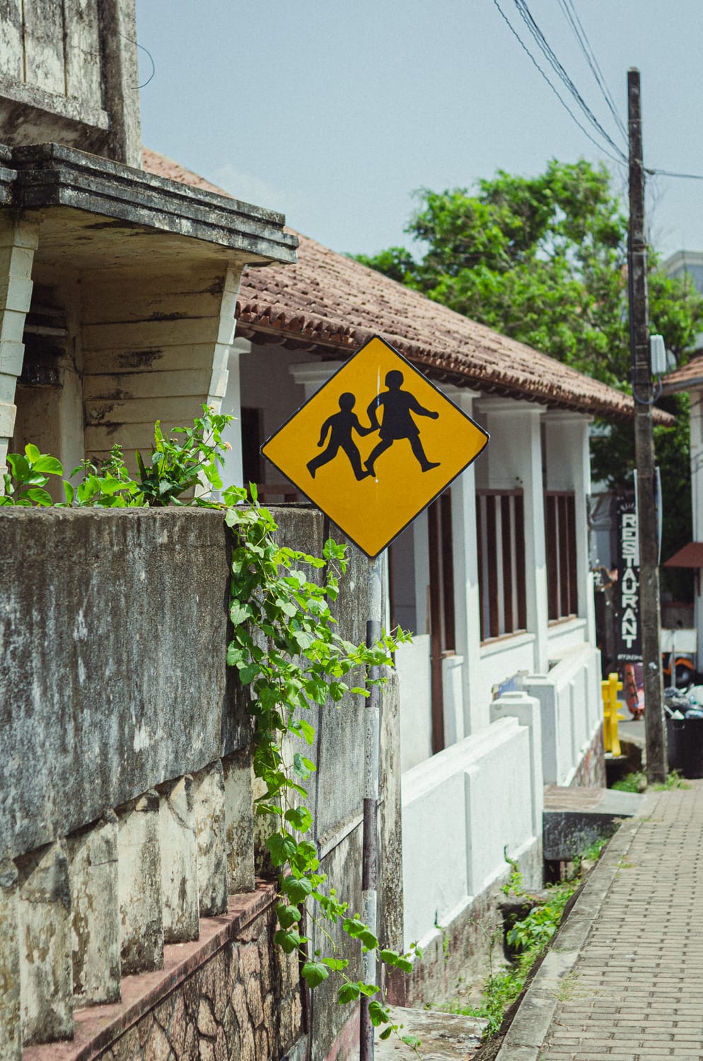 Фото 267 из альбома Sri Lanka 2019