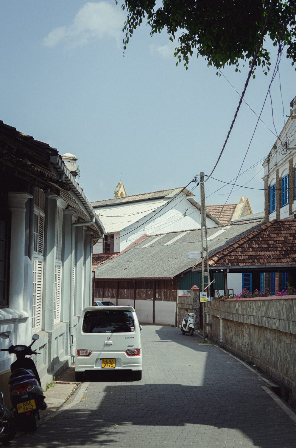 Фото 268 из альбома Sri Lanka 2019