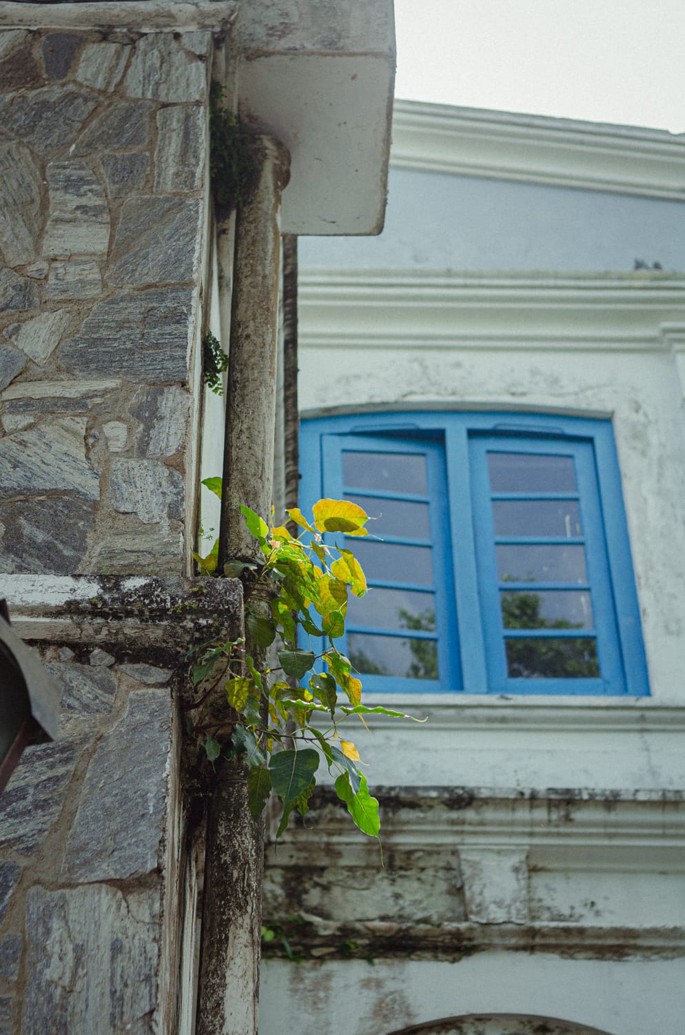 Фото 270 из альбома Sri Lanka 2019