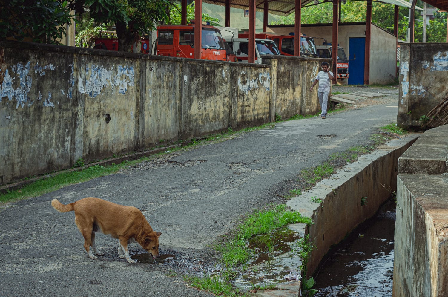 Фото 285 из альбома Sri Lanka 2019