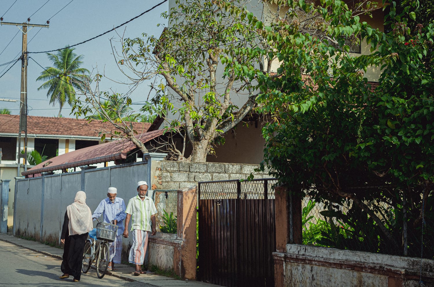 Фото 287 из альбома Sri Lanka 2019