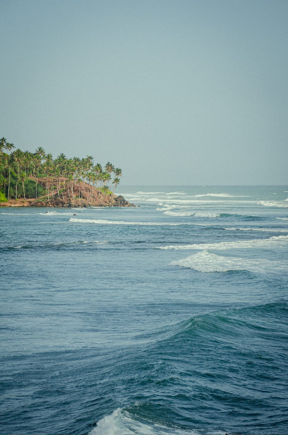 Фото 292 из альбома Sri Lanka 2019