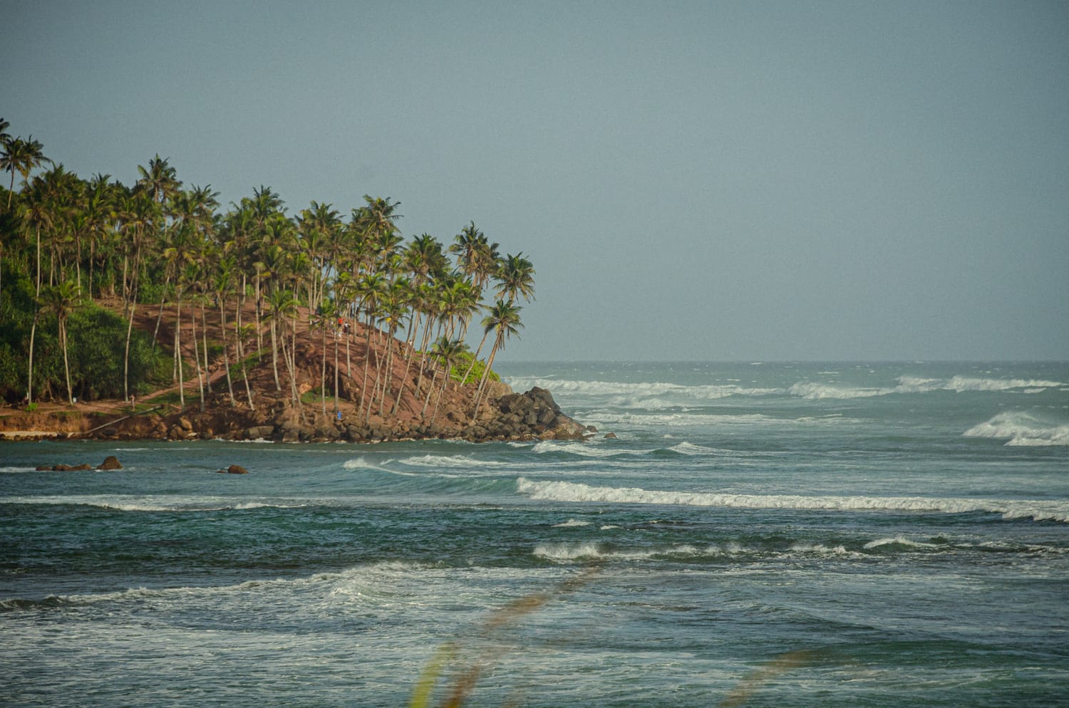 Фото 295 из альбома Sri Lanka 2019