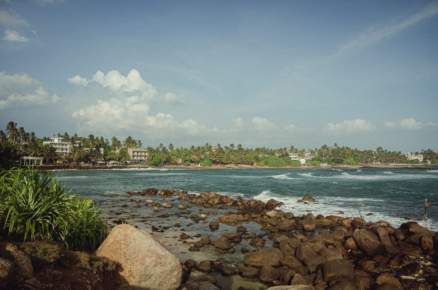 Фото 296 из альбома Sri Lanka 2019