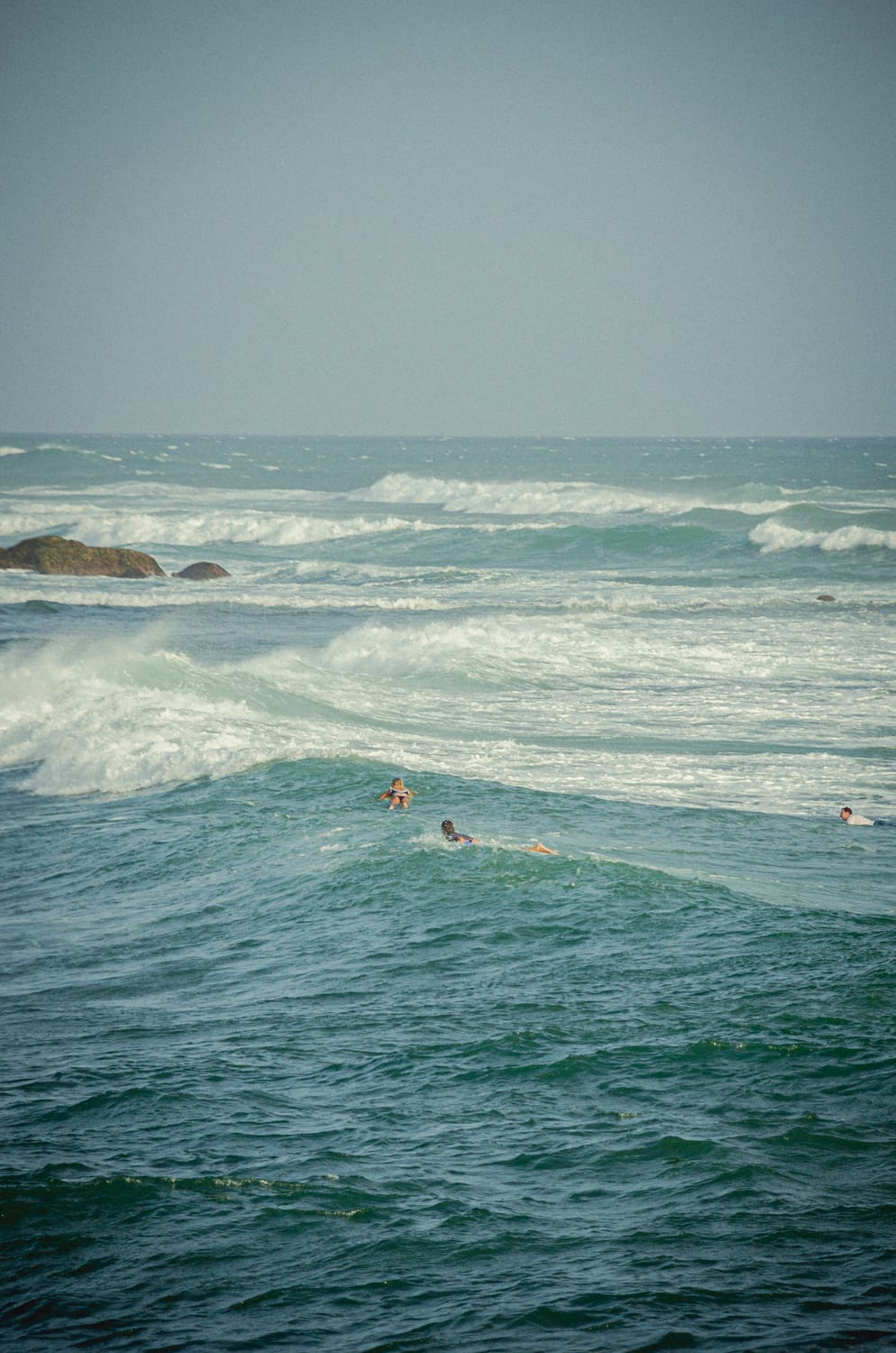 Фото 297 из альбома Sri Lanka 2019