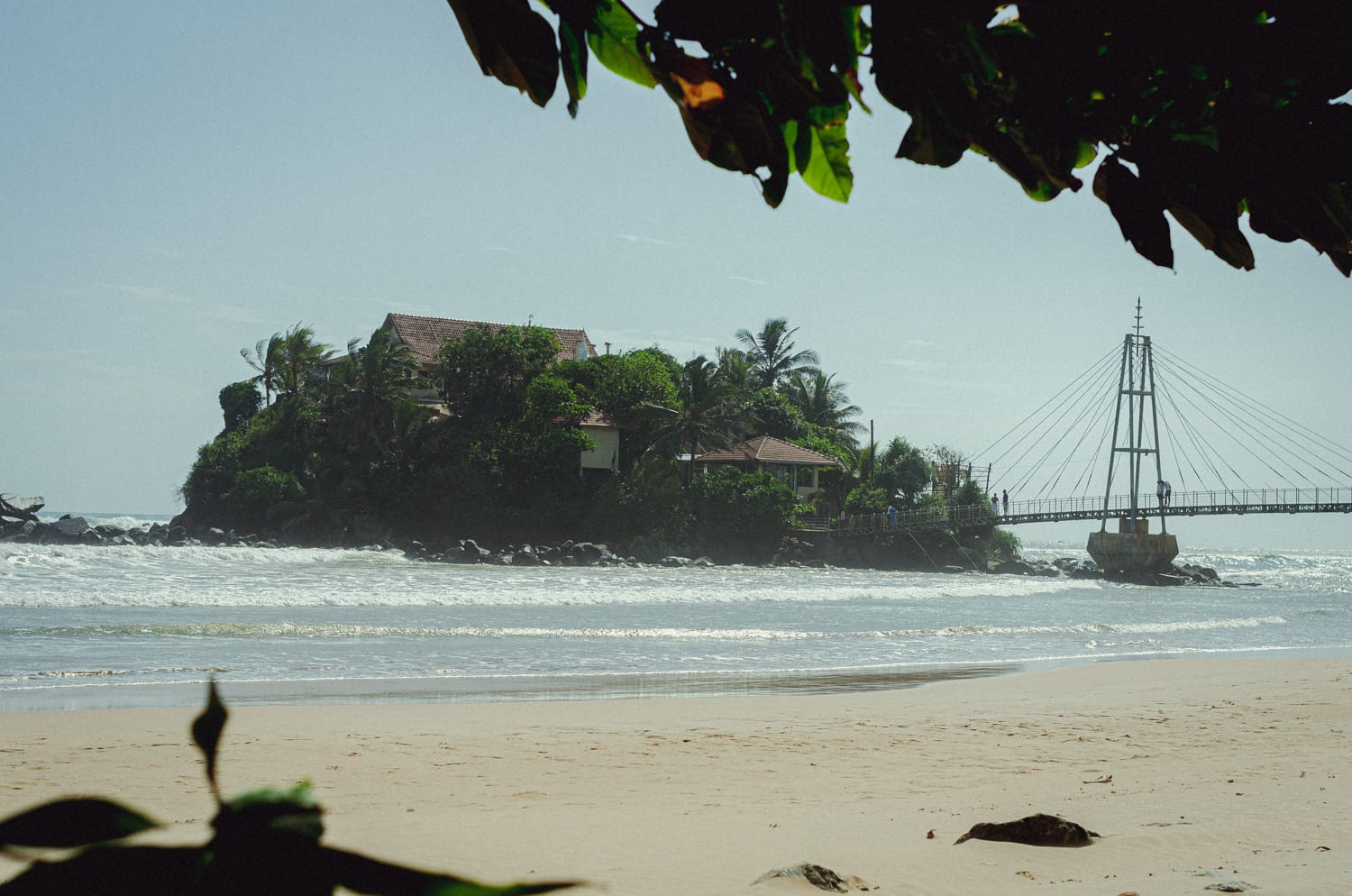 Фото 299 из альбома Sri Lanka 2019