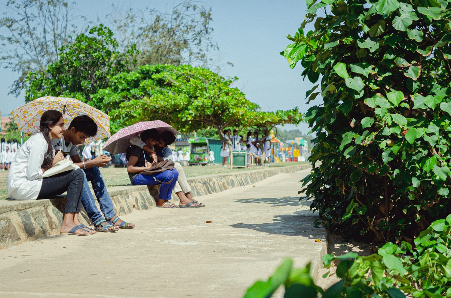 Фото 300 из альбома Sri Lanka 2019