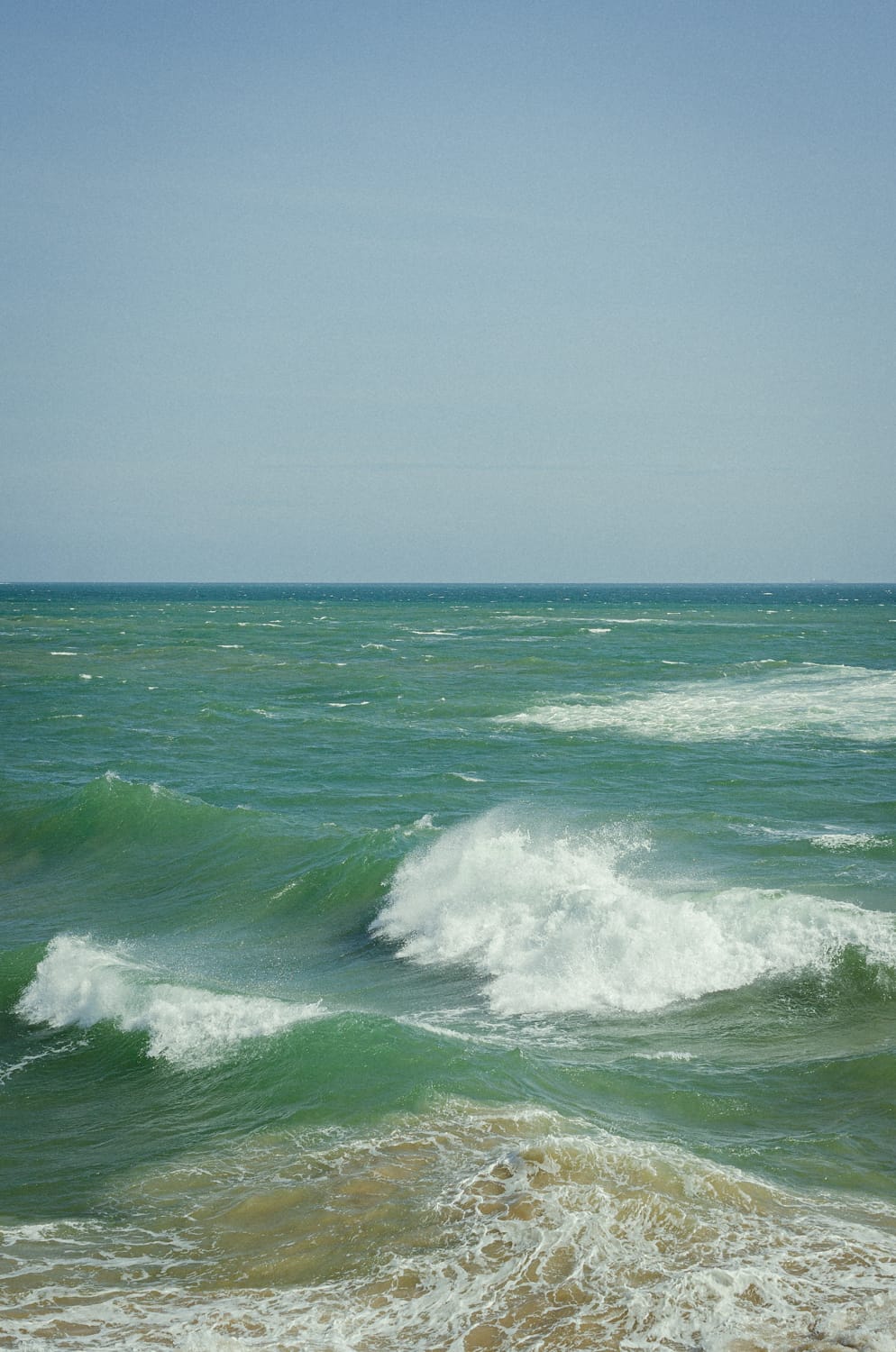 Фото 306 из альбома Sri Lanka 2019