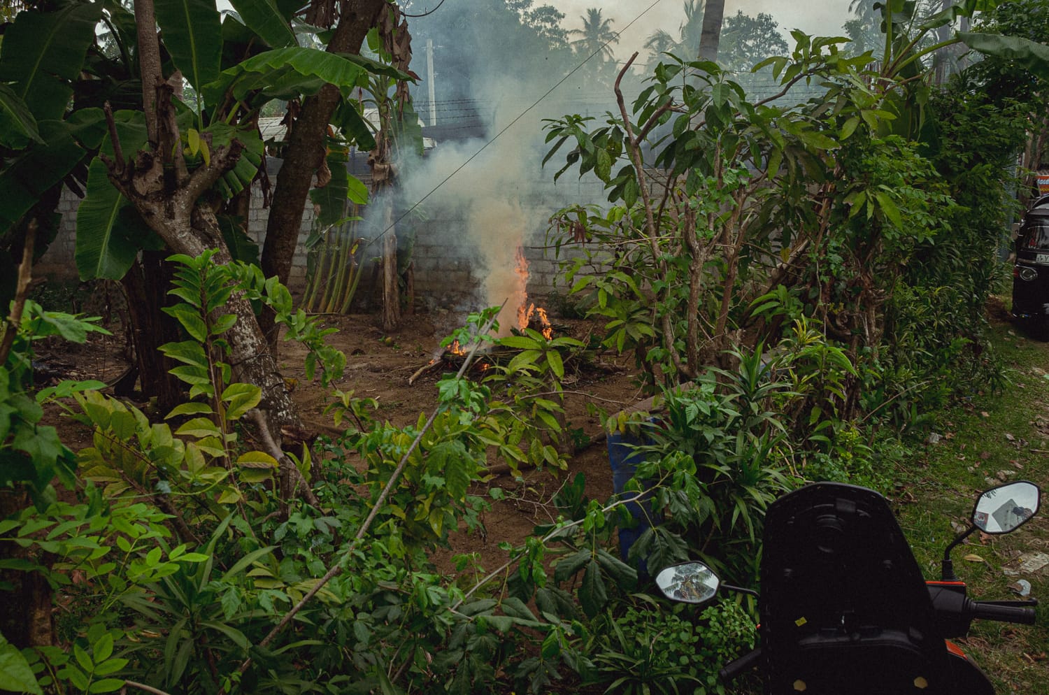 Фото 308 из альбома Sri Lanka 2019