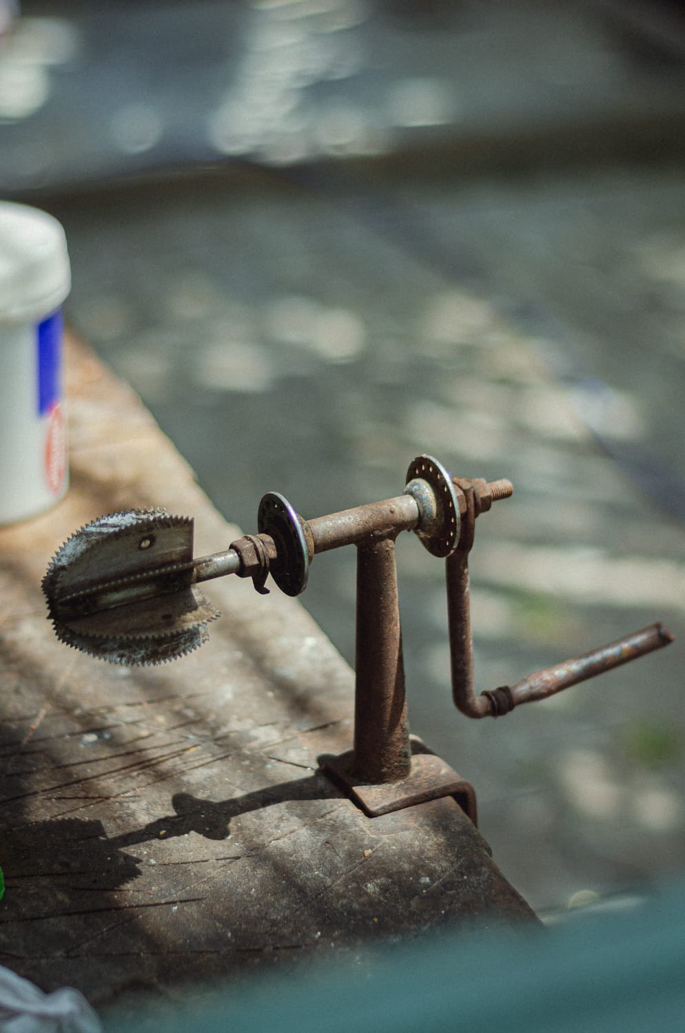 Фото 311 из альбома Sri Lanka 2019