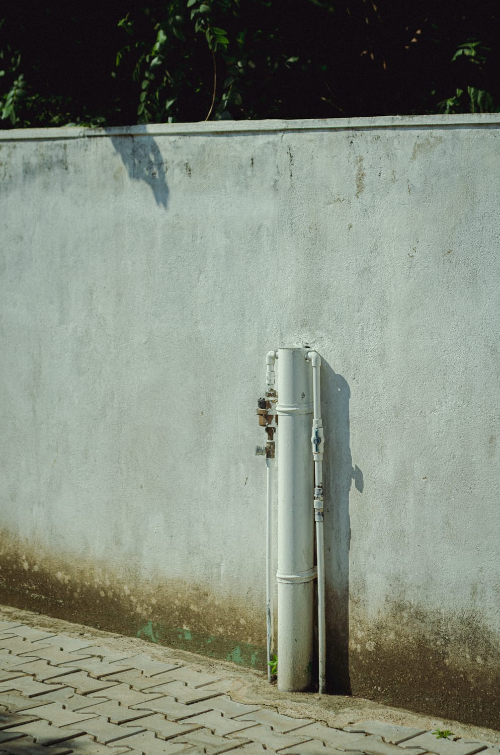 Фото 319 из альбома Sri Lanka 2019