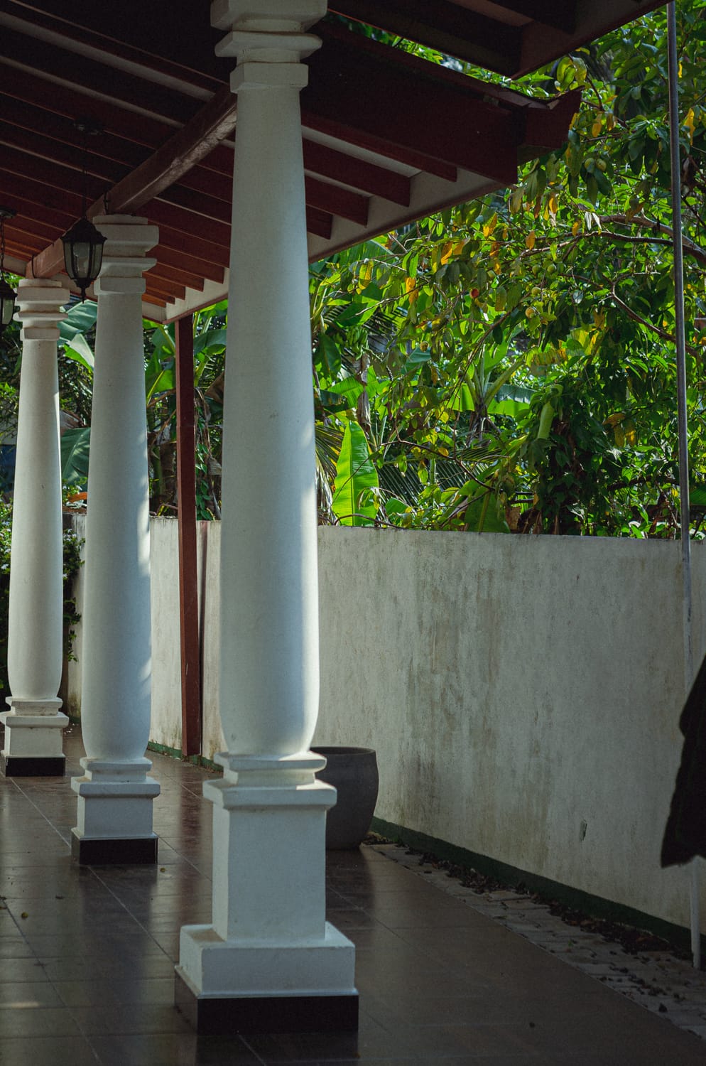 Фото 321 из альбома Sri Lanka 2019