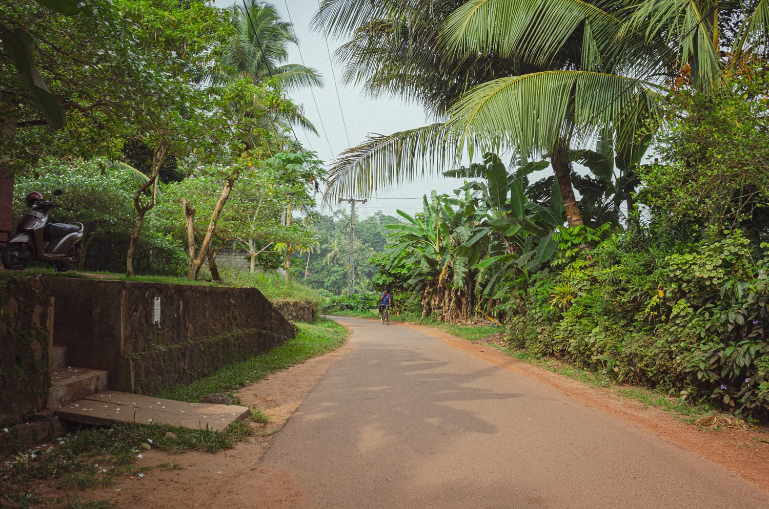 Фото 324 из альбома Sri Lanka 2019