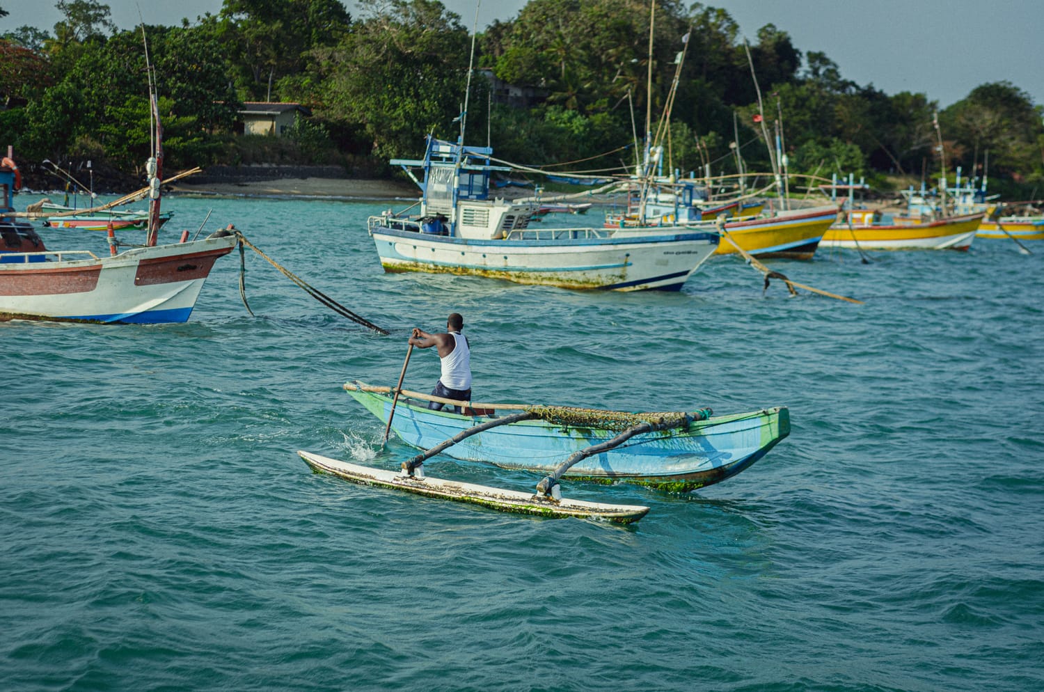Фото 325 из альбома Sri Lanka 2019